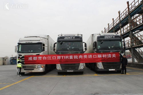 一纸标识通四方 探秘公路货运跨境直达的“通行证”